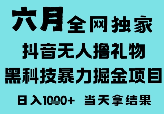 25年6月高爆抖音无人直播最新撸音浪掘金项目，门槛低小白可做，无脑日入1k，可矩阵放大【揭秘】网络赚钱,项目资源网,副业资源网,兼职项目,网赚课程-副业赚钱-互联网创业-独家轻创IP大圣网创