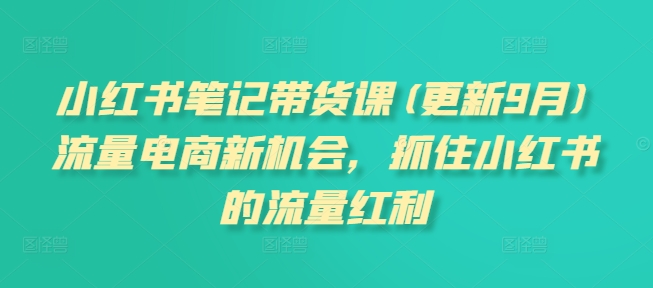 小红书笔记带货课(更新25年6月)流量电商新机会，抓住小红书的流量红利网络赚钱,项目资源网,副业资源网,兼职项目,网赚课程-副业赚钱-互联网创业-独家轻创IP大圣网创