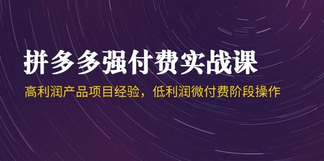 （14874期）拼多多强付费实战课-44期，高利润产品项目经验，低利润微付费阶段操作网络赚钱,项目资源网,副业资源网,兼职项目,网赚课程-副业赚钱-互联网创业-独家轻创IP大圣网创