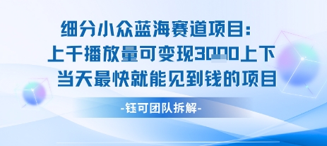 小众蓝海赛道项目：当天变现1k+适合新手操作 +适合长期玩网络赚钱,项目资源网,副业资源网,兼职项目,网赚课程-副业赚钱-互联网创业-独家轻创IP大圣网创