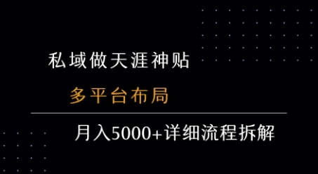 私域做天涯神贴 多平台布局 月入5k+详细流程拆解网络赚钱,项目资源网,副业资源网,兼职项目,网赚课程-副业赚钱-互联网创业-独家轻创IP大圣网创