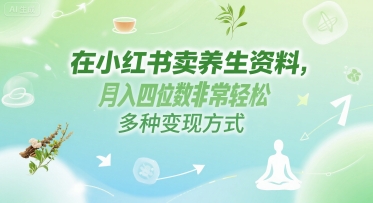 在小红书卖养生资料，月入四位数非常轻松，多种变现方式网络赚钱,项目资源网,副业资源网,兼职项目,网赚课程-副业赚钱-互联网创业-独家轻创IP大圣网创