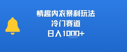 情趣内衣暴利玩法，冷门赛道，日入1k+网络赚钱,项目资源网,副业资源网,兼职项目,网赚课程-副业赚钱-互联网创业-独家轻创IP大圣网创