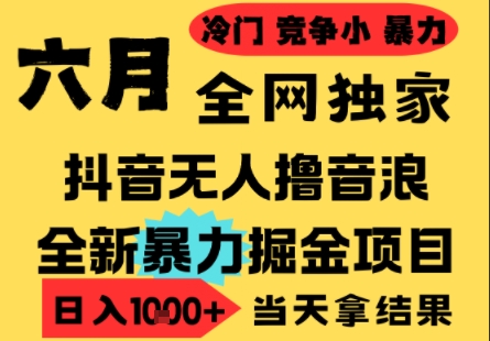 25年6月高爆抖音无人直播最新撸音浪掘金项目，小白可做，无脑日入1k+，门槛低可批量矩阵【揭秘】网络赚钱,项目资源网,副业资源网,兼职项目,网赚课程-副业赚钱-互联网创业-独家轻创IP大圣网创