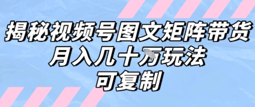 解密视频号图文矩阵带货，月入几个W的打法，可复制网络赚钱,项目资源网,副业资源网,兼职项目,网赚课程-副业赚钱-互联网创业-独家轻创IP大圣网创