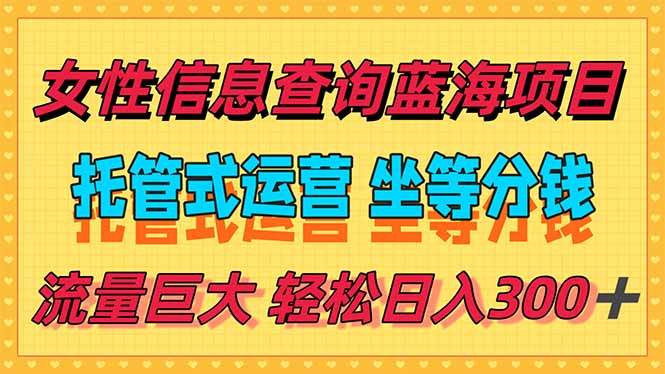 （15216期）稳定日入300＋，小众信息查询蓝海项目，全程懒人式托管，解放你的时间网络赚钱,项目资源网,副业资源网,兼职项目,网赚课程-副业赚钱-互联网创业-独家轻创IP大圣网创