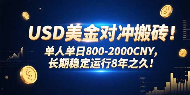 USD美金对冲搬砖!单人单日800-2000CNY，长期稳定运行8年之久!网络赚钱,项目资源网,副业资源网,兼职项目,网赚课程-副业赚钱-互联网创业-独家轻创IP大圣网创