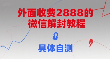 外面收费2888的微信解封教程，具体自测网络赚钱,项目资源网,副业资源网,兼职项目,网赚课程-副业赚钱-互联网创业-独家轻创IP大圣网创